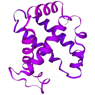 Biological Database