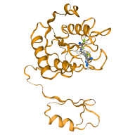 Molecular Docking