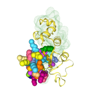 Molecular Visualization