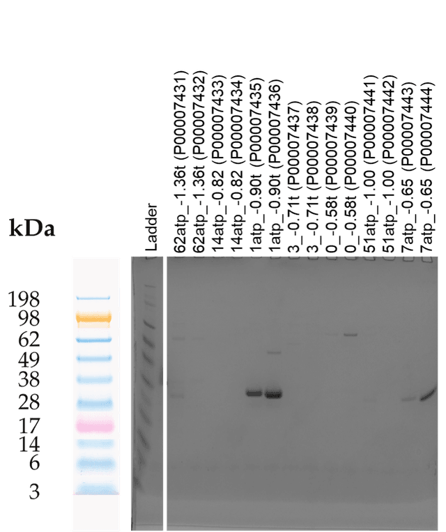 Tierra Image 1
