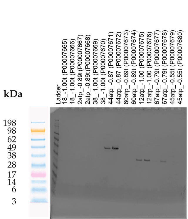 Tierra Image 2