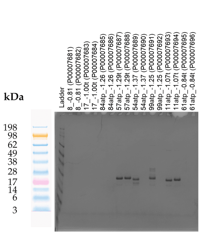 Tierra Image 2