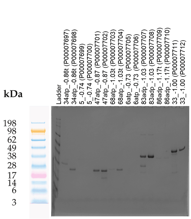 Tierra Image 2