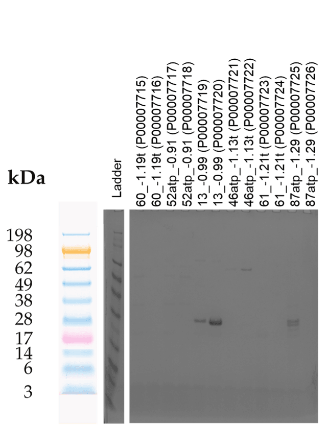Tierra Image 2