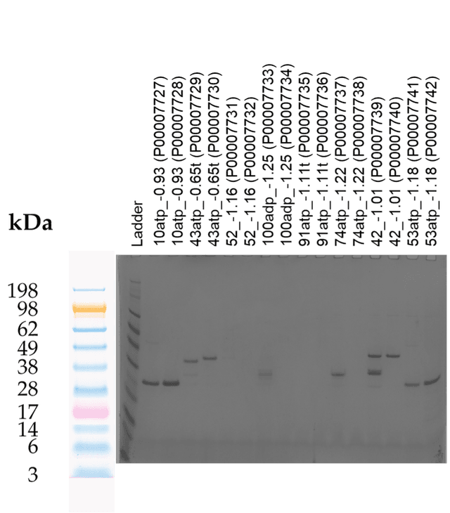 Tierra Image 2