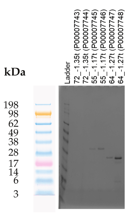 Tierra Image 2