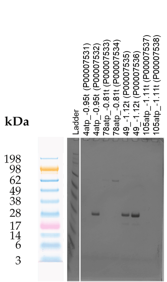 Tierra Image 1