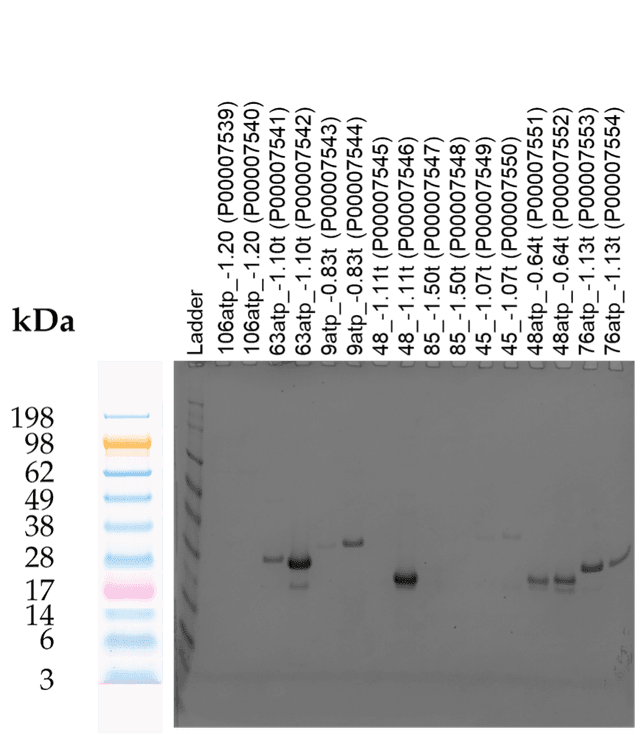 Tierra Image 1