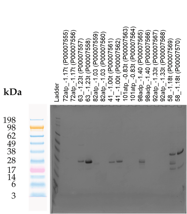 Tierra Image 1