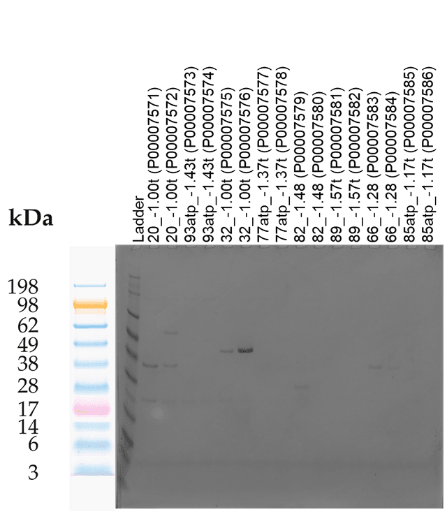Tierra Image 1