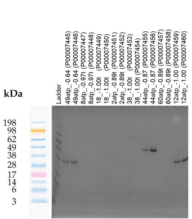 Tierra Image 1