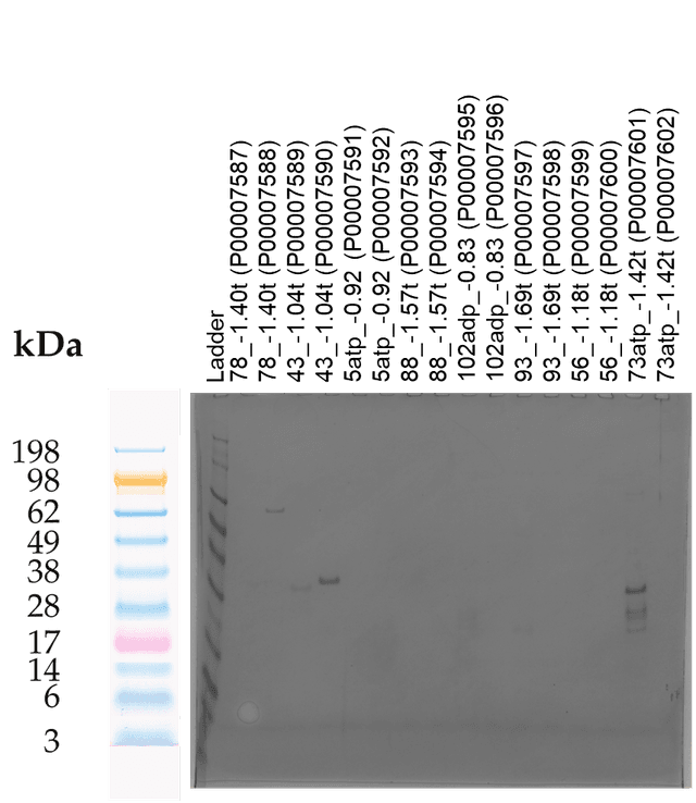 Tierra Image 1