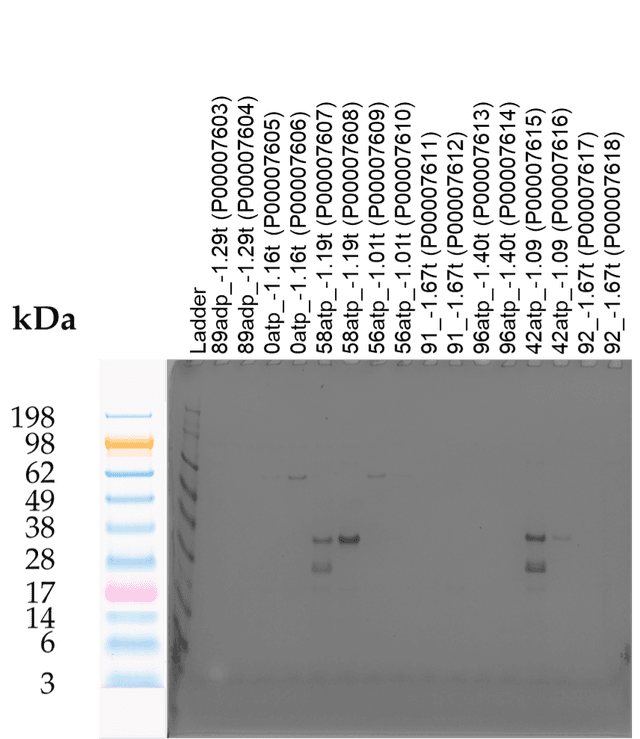 Tierra Image 1