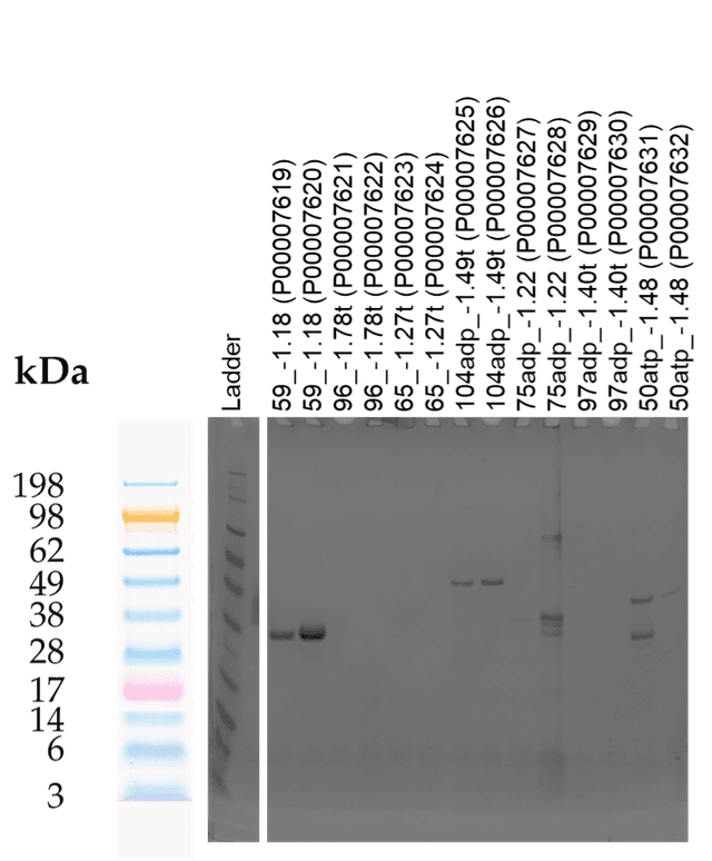 Tierra Image 1