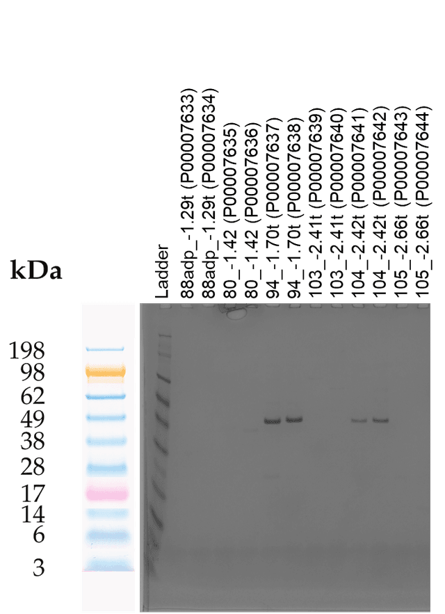 Tierra Image 1