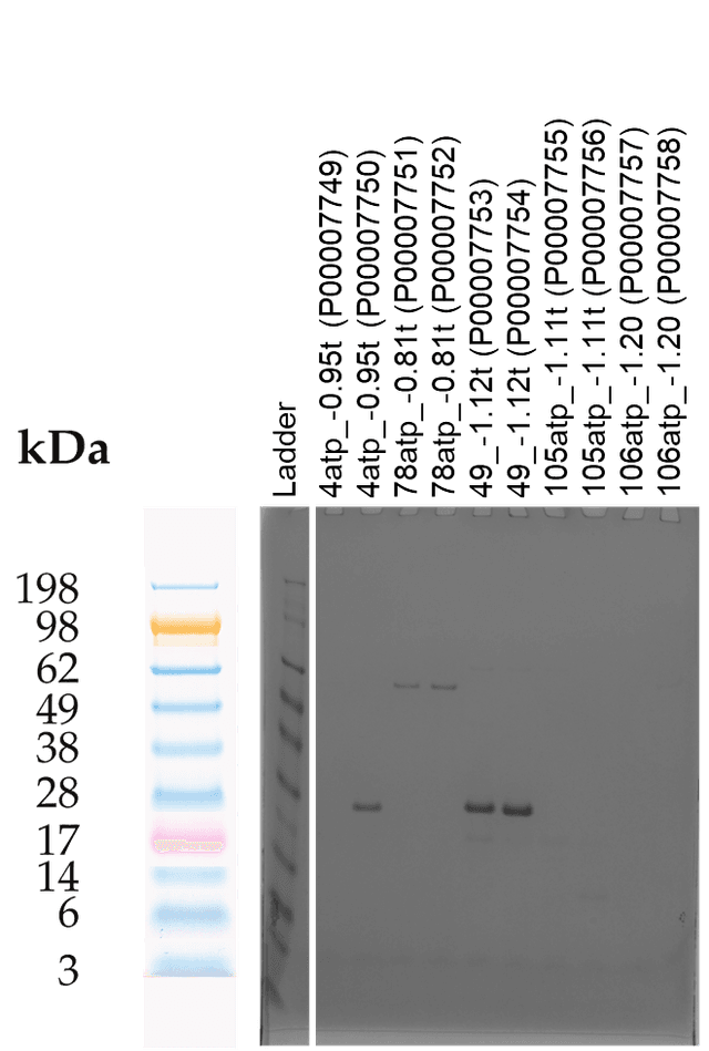 Tierra Image 2