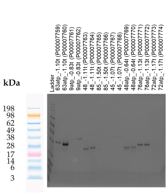 Tierra Image 2