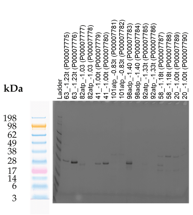 Tierra Image 2