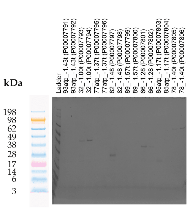 Tierra Image 2