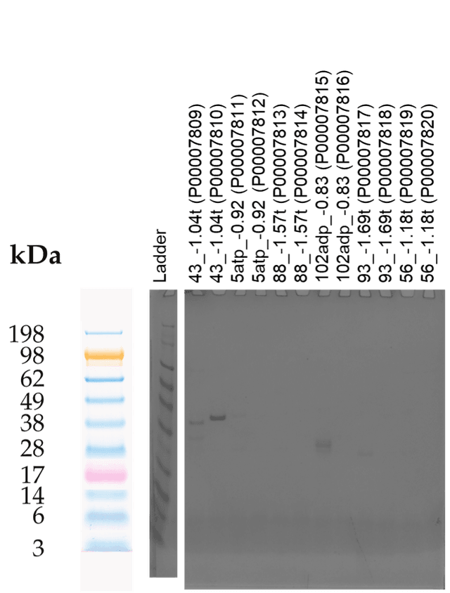Tierra Image 2