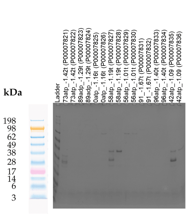 Tierra Image 2