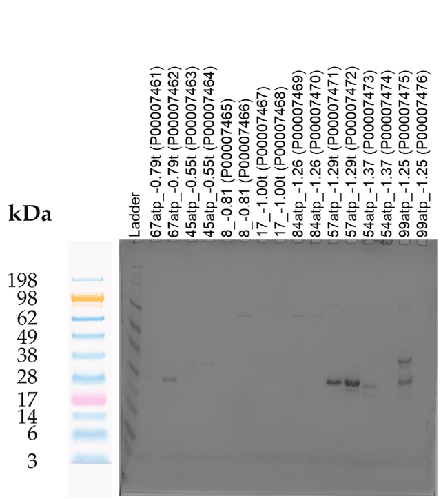 Tierra Image 1