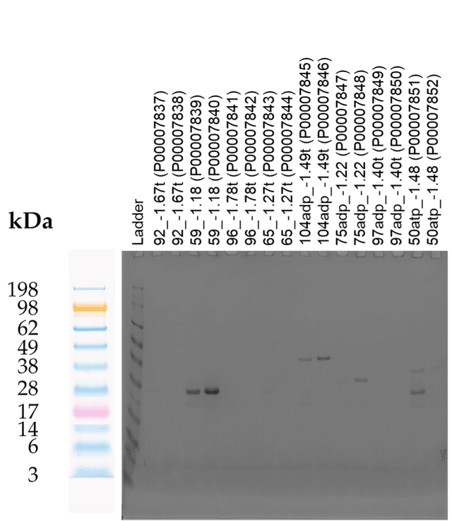 Tierra Image 2