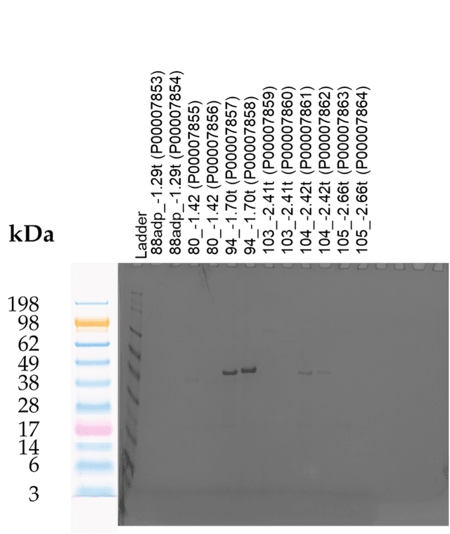 Tierra Image 2