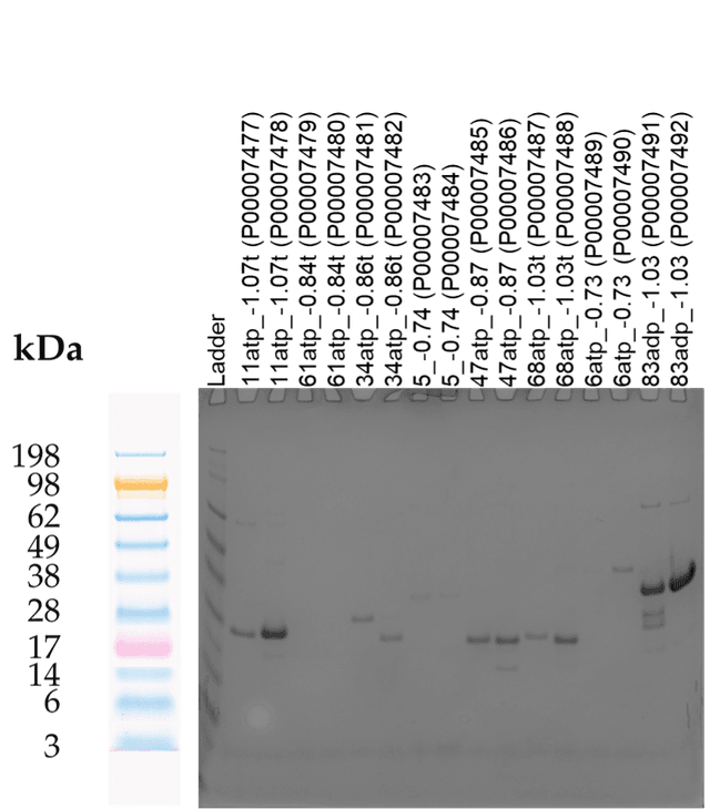 Tierra Image 1