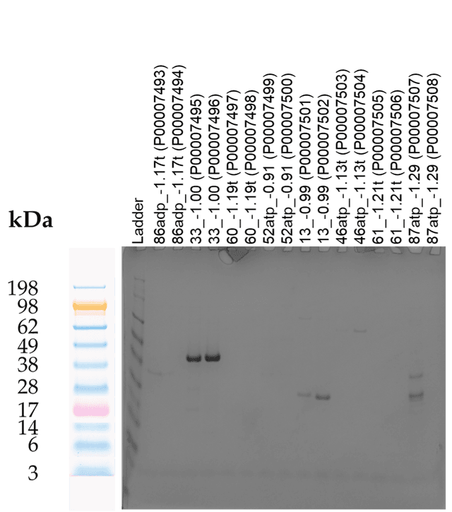 Tierra Image 1
