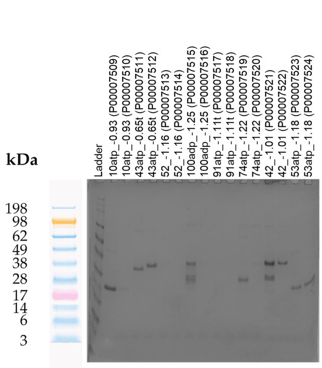 Tierra Image 1
