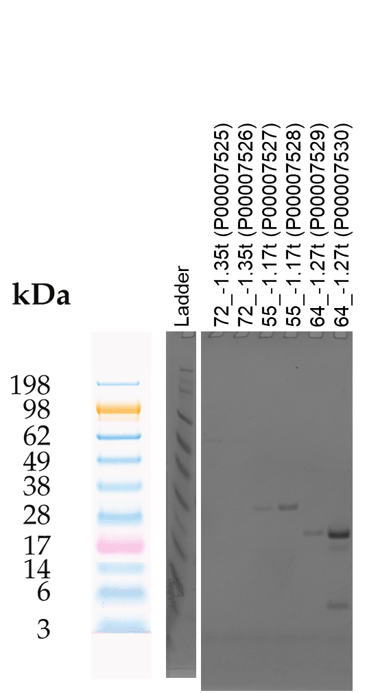 Tierra Image 1