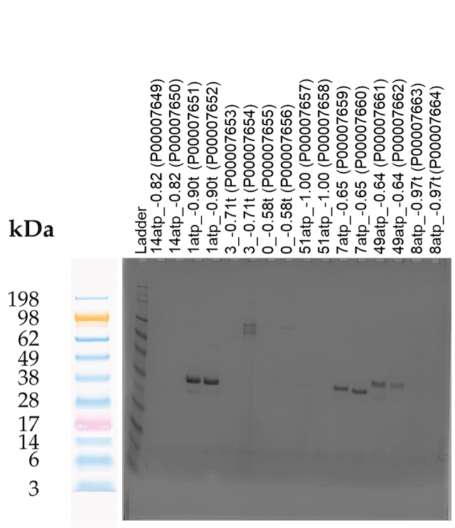 Tierra Image 2