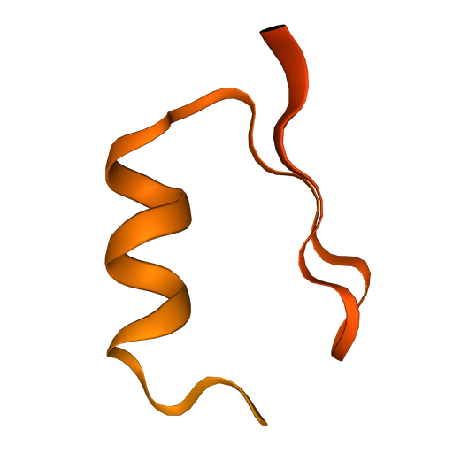 Protein Folding