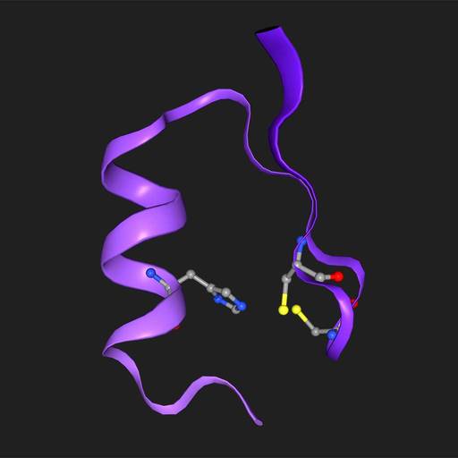 Protein Function