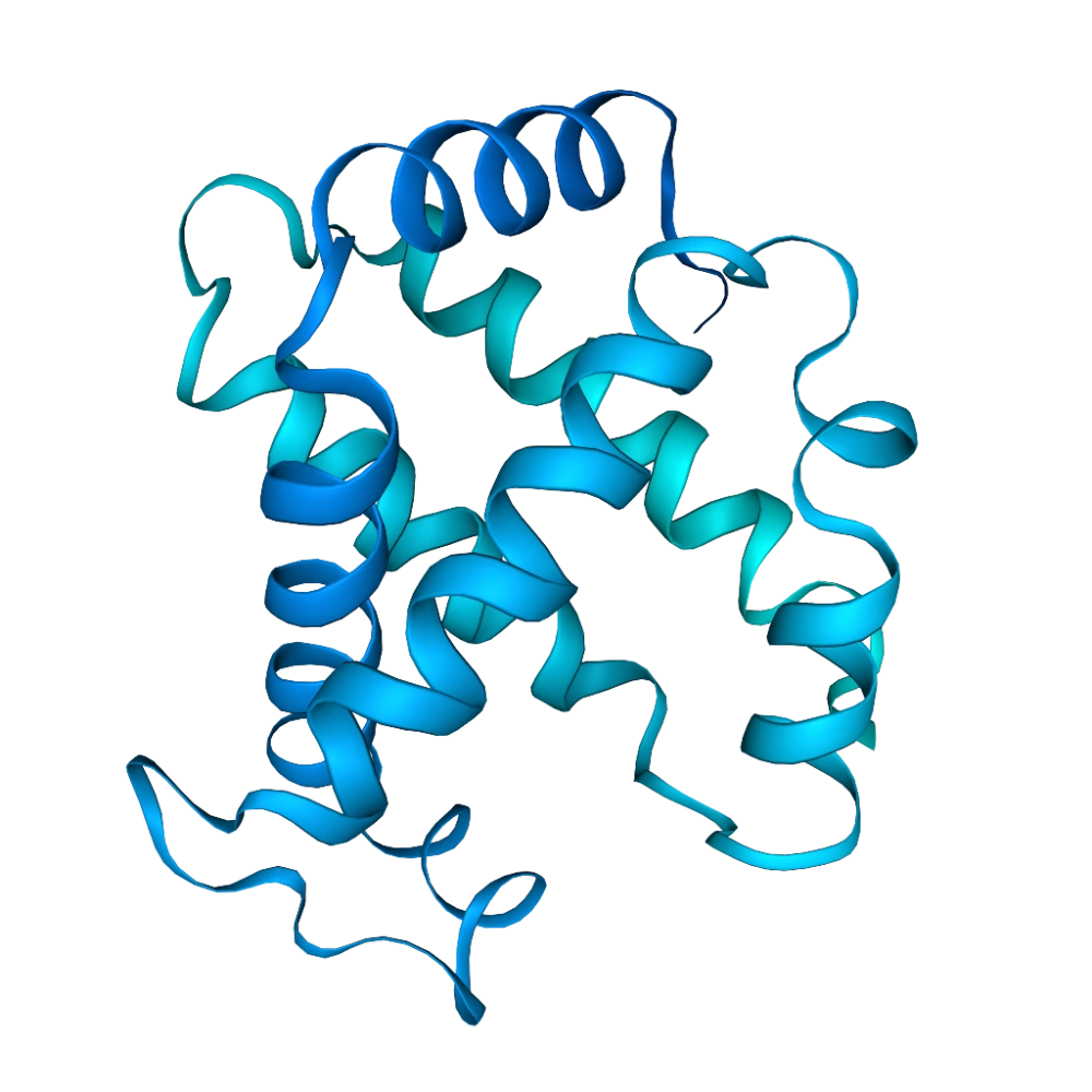 Hemoglobin