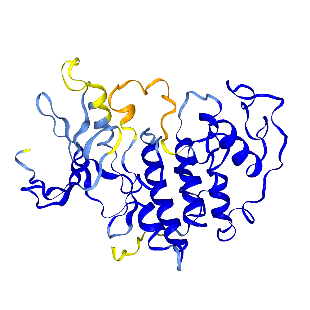 Cyclin-dependent kinase 2