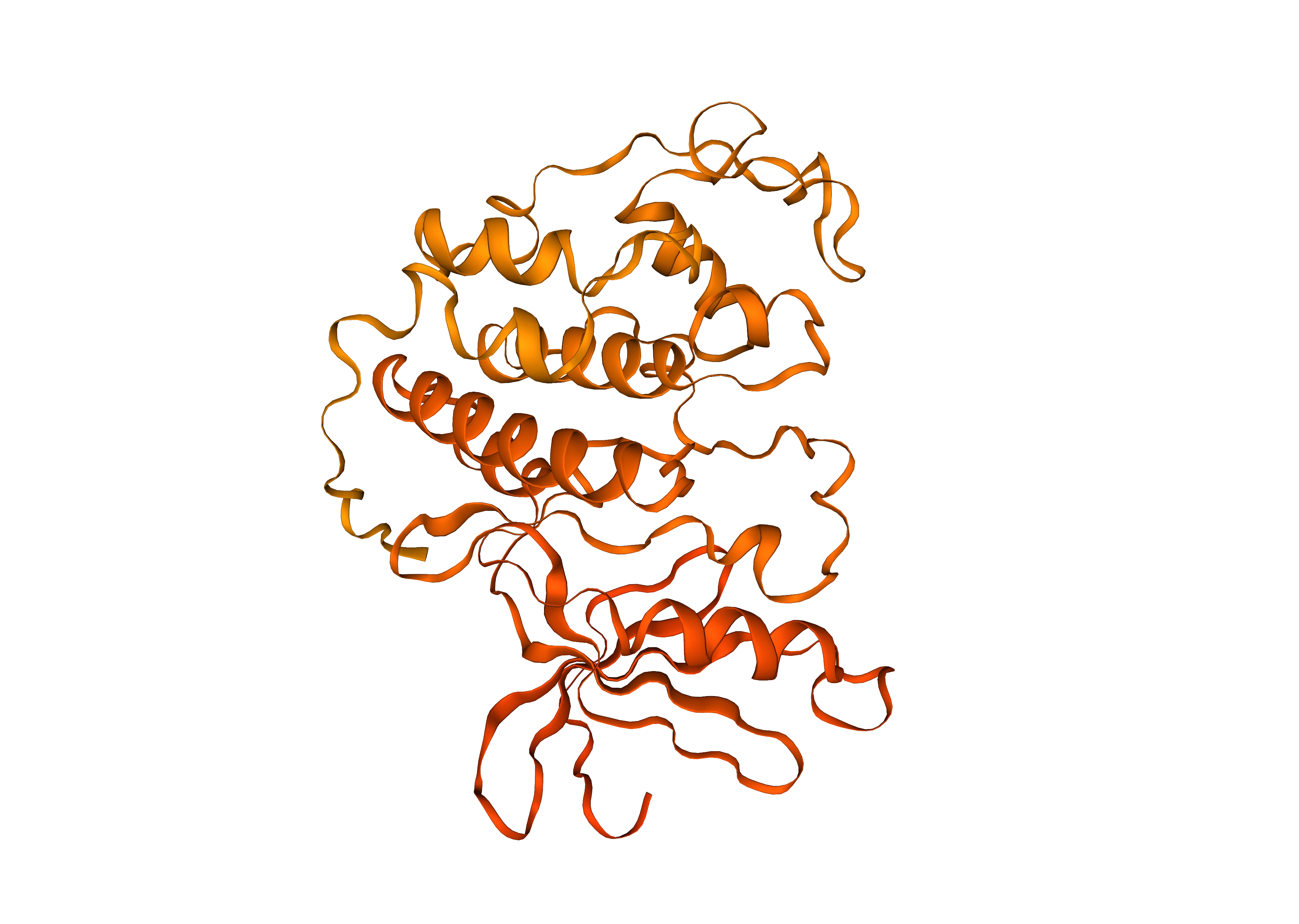 Cyclin-dependent kinase 2