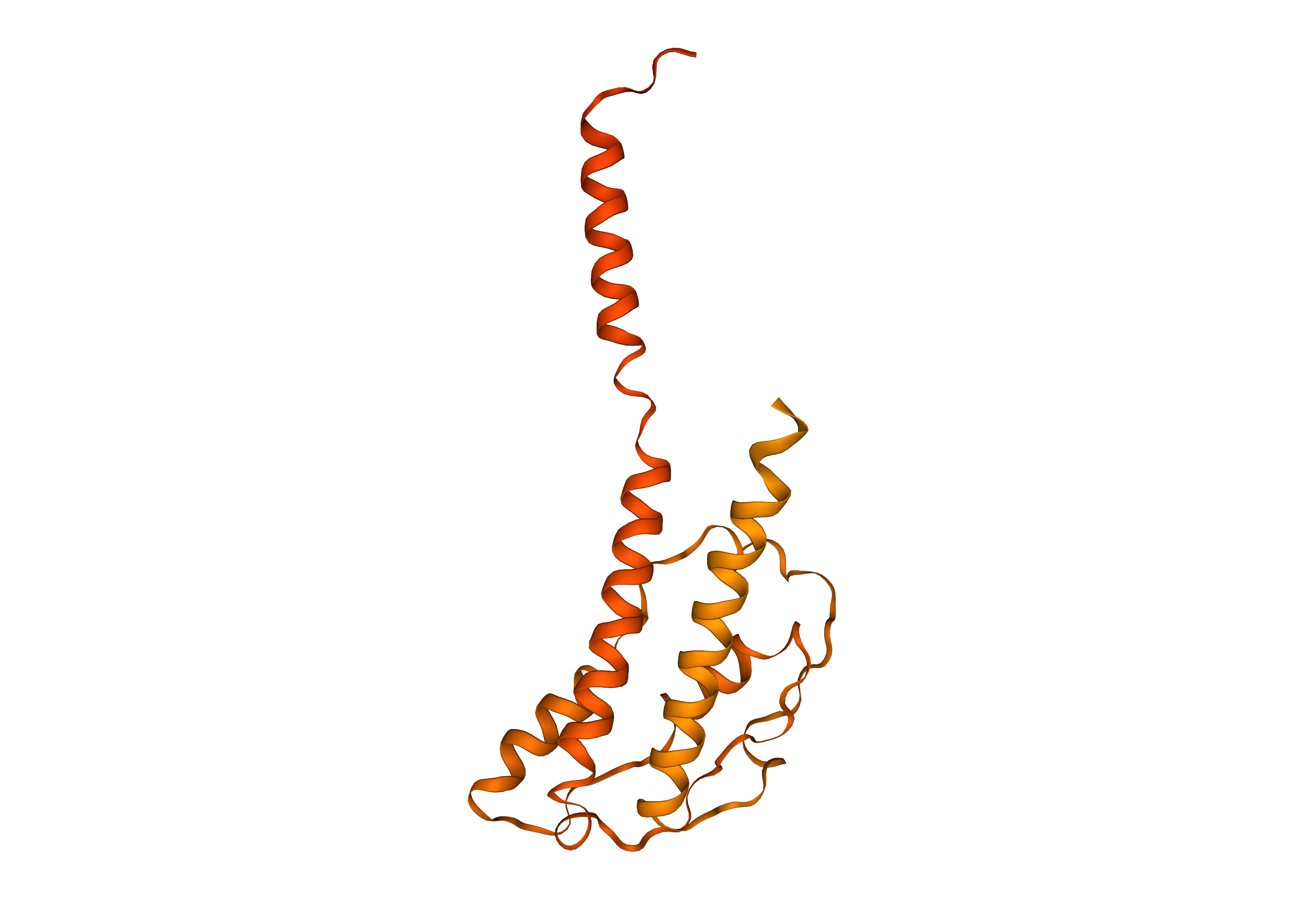 Cyclin-dependent kinase 2