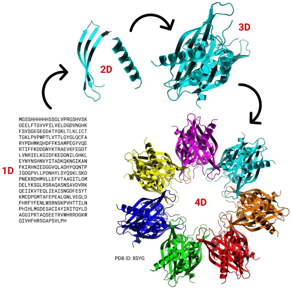 Speaking Protein Language With Protgpt2 310 Generative Ai For