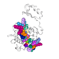 Protein Design