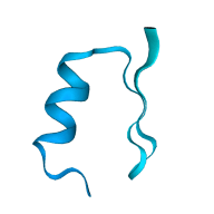 Protein Folding